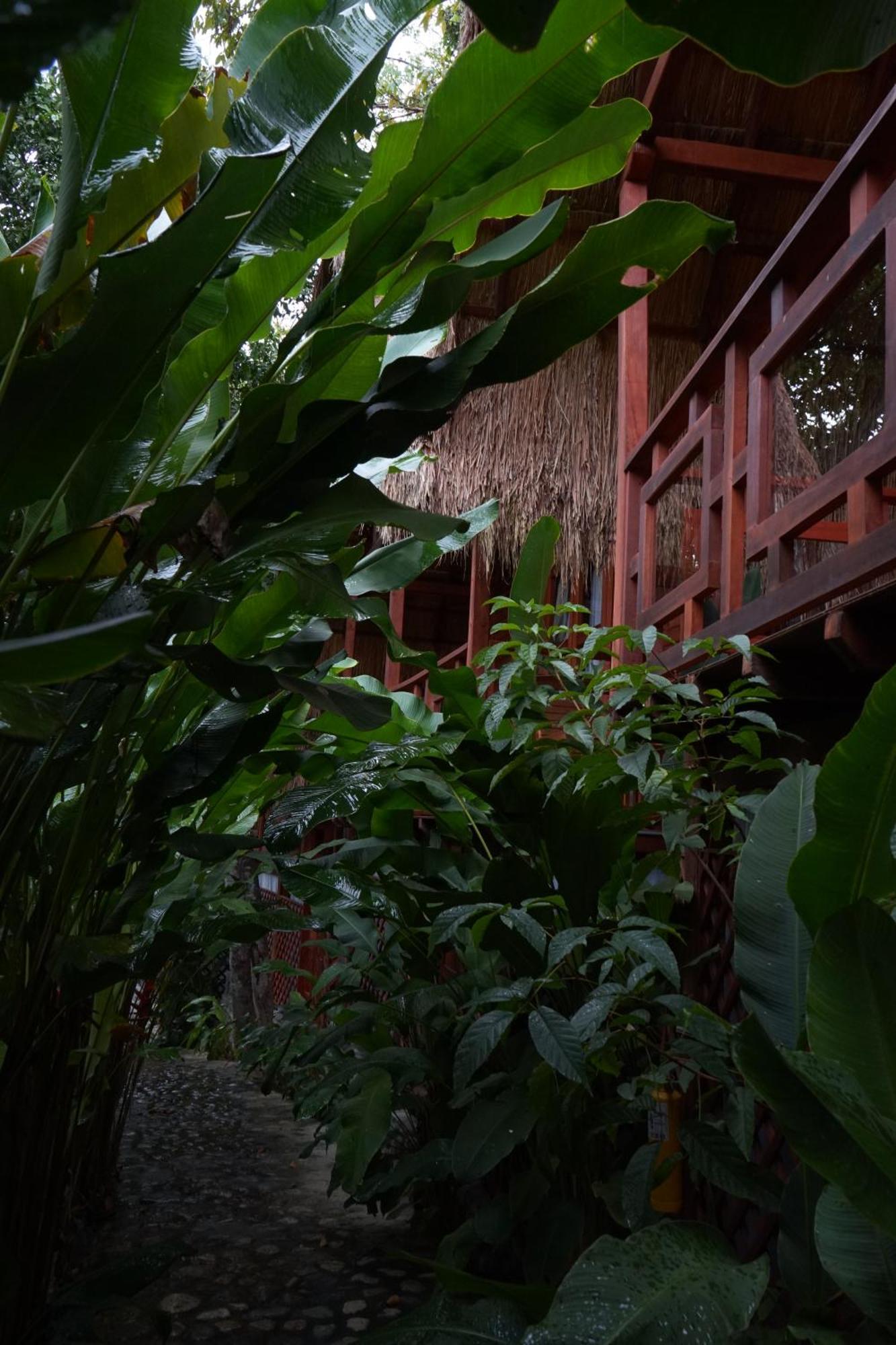 Bio Rio Hotel San Jeronimo  Bagian luar foto